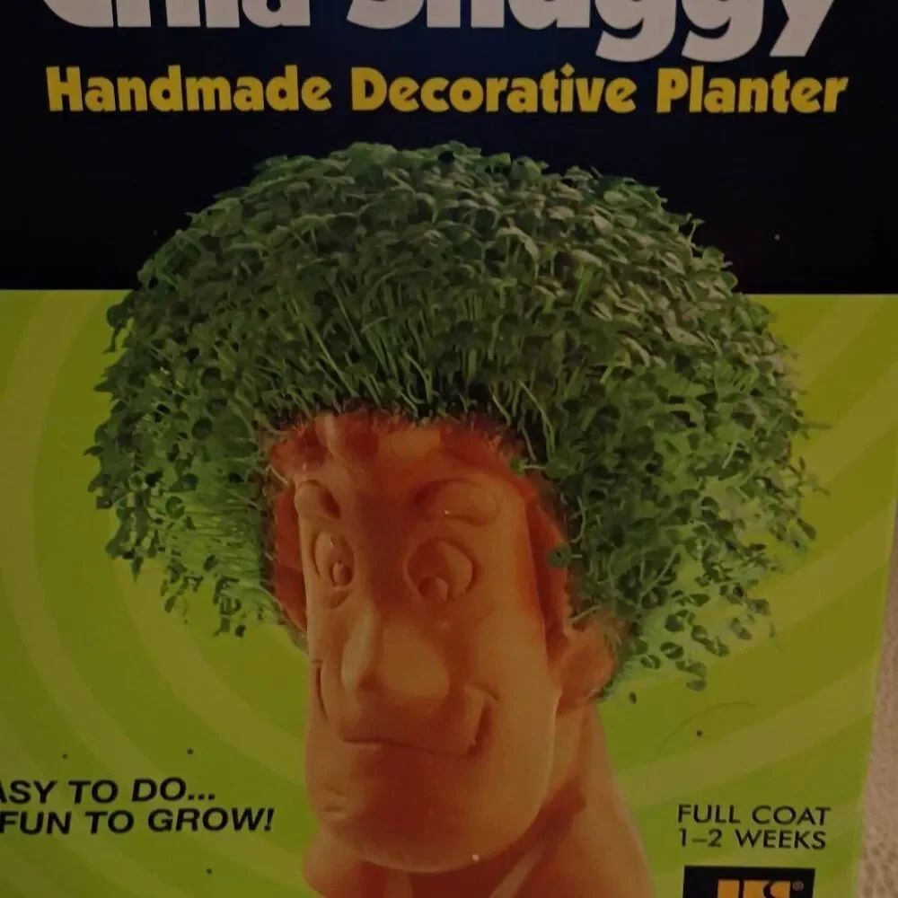 NWT Cartoon Network Scooby Doo Chia Shaggy